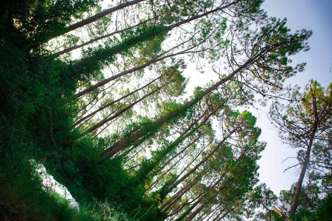 Et au milieu coule la rivière #16digigraphie - 60x90 cm